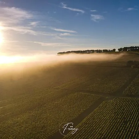Les Crins Du Vignoble * Loches-sur-Ource