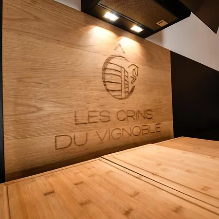 Les Crins Du Vignoble * Loches-sur-Ource