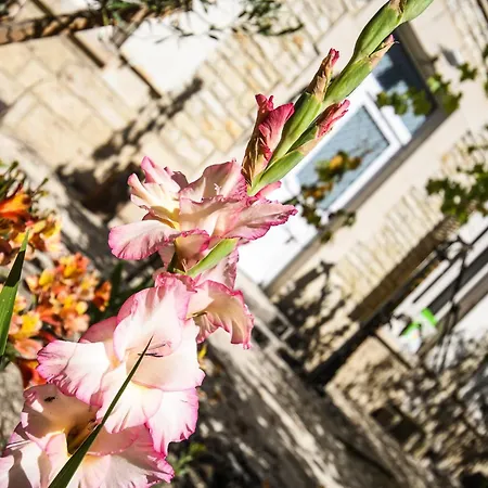 Les Crins Du Vignoble בית נופש Loches-sur-Ource
